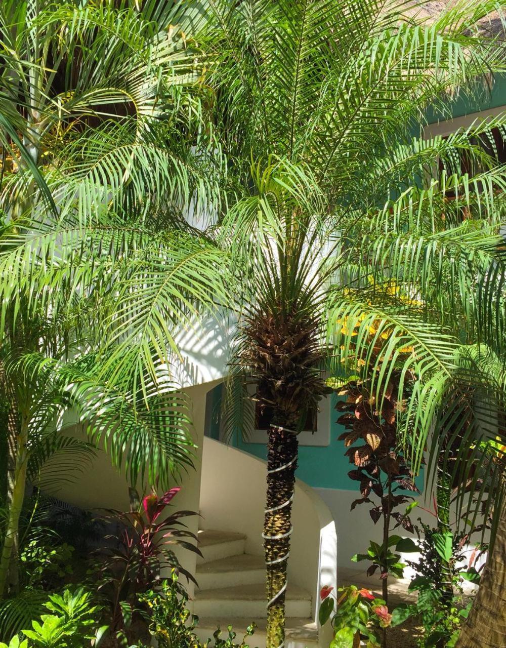 Toto Blue Hotel Boutique Bacalar Kültér fotó
